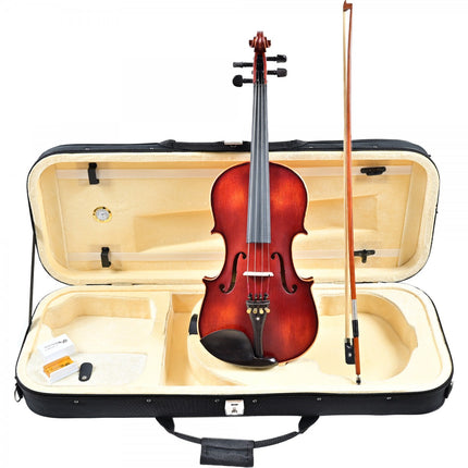 Carlovy VAA8-16 Viola 16"