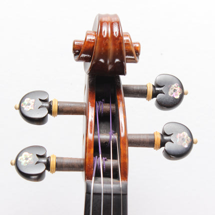 Carlovy VLA1 - 4/4 Keman