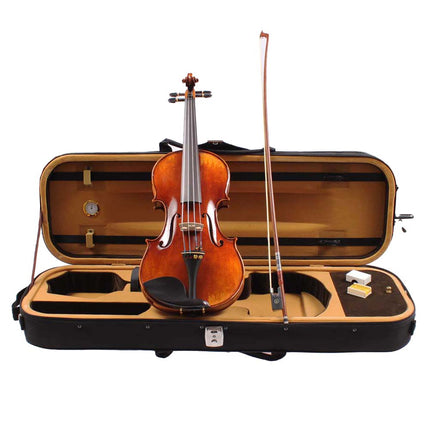 Carlovy VLA4 - 4/4 Violin