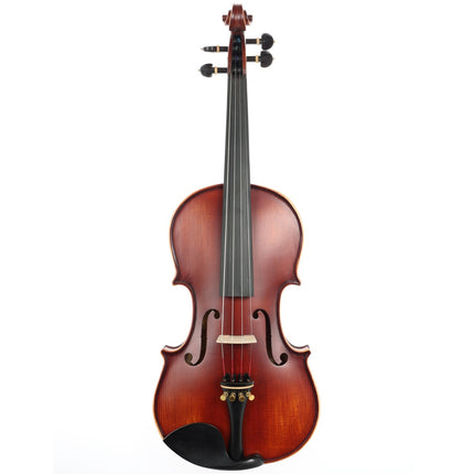 Carlovy VLA8 - 4/4 Violin