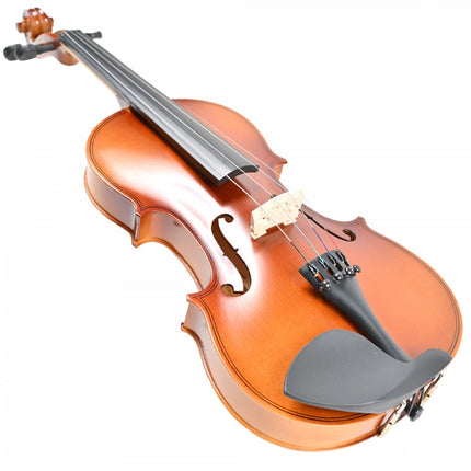 Rosa RV044M 4/4 Matte Polished Violin