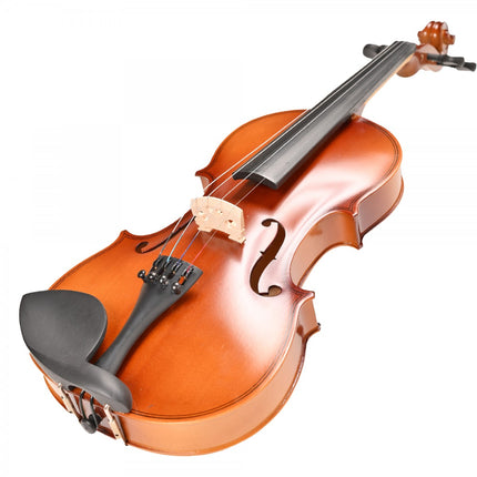 Rosa RV044M 4/4 Matte Polished Violin
