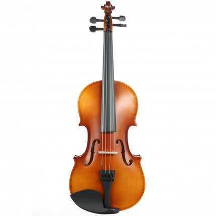 Rosa RV044M 4/4 Matte Polished Violin