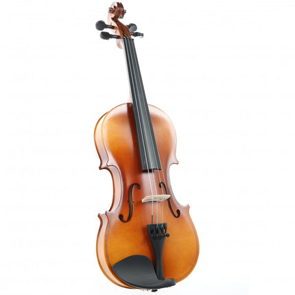 Rosa RV044M 4/4 Matte Polished Violin