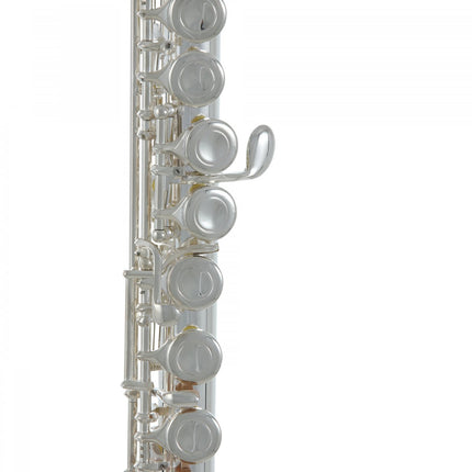 Roy Benson FL-402E Yan Flüt