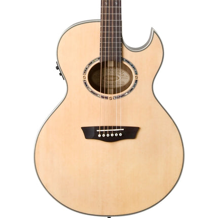 Washburn EA20S Nuno Bettencourt Signature Elektro Akustik Gitar