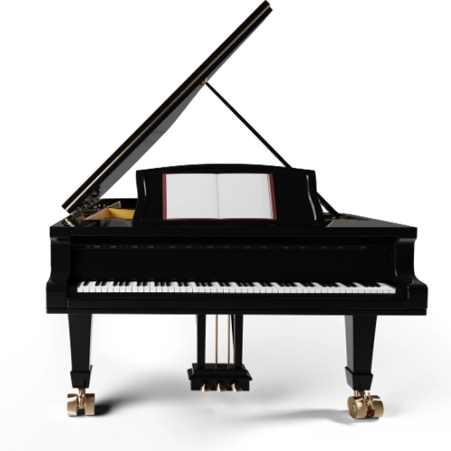 Akustik Kuyruklu Piyanolar