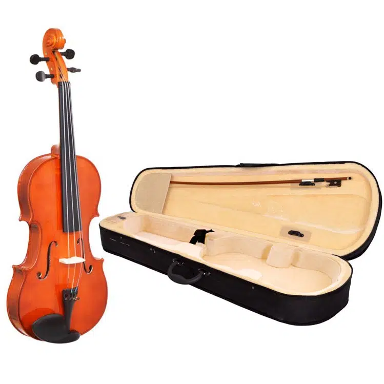 Başlangıç / Eğitim Viyolaları