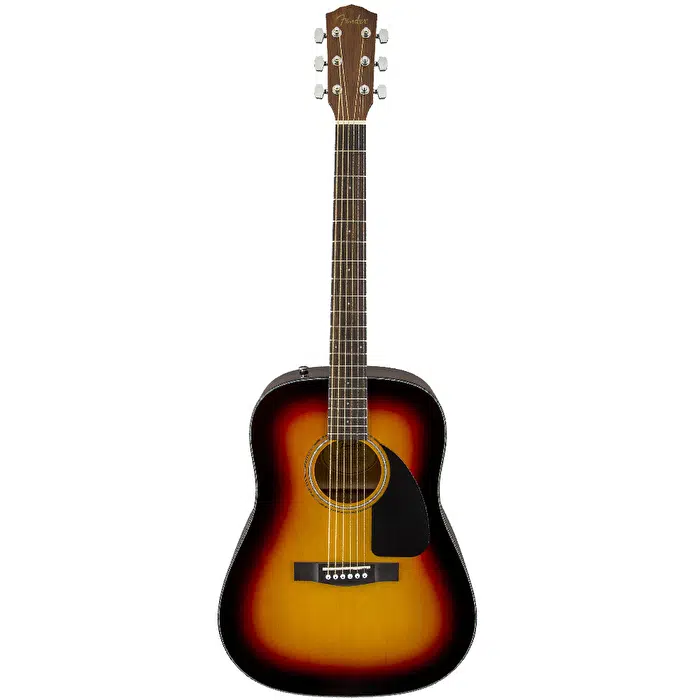 Elektro Akustik Gitarlar