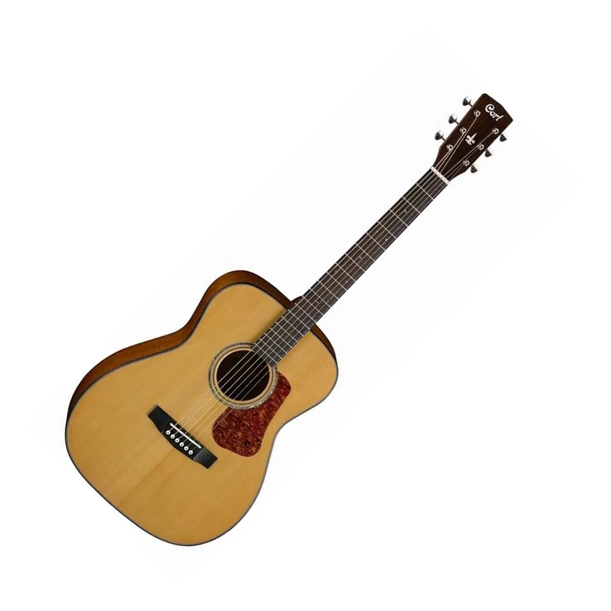 Solak Akustik Gitarlar