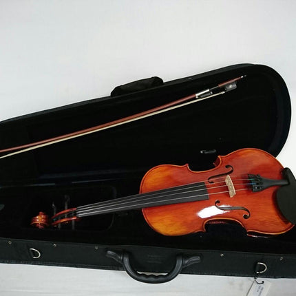 15.5" VİOLA KUTULU