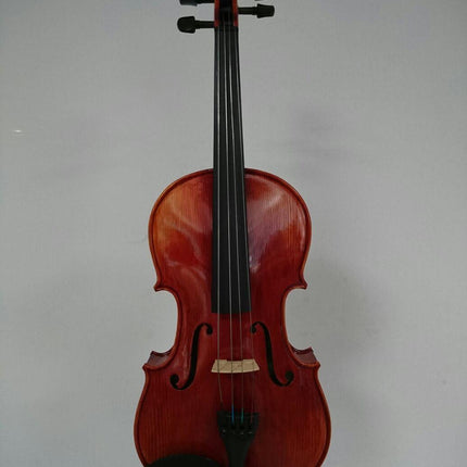 15.5" VİOLA KUTULU