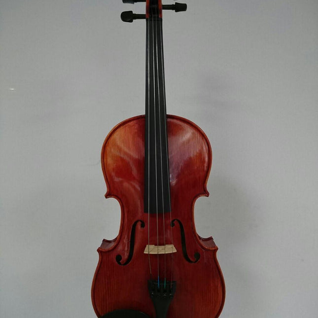 15.5" VİOLA KUTULU