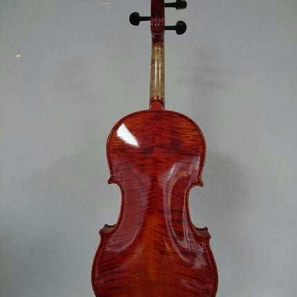 15.5" VİOLA KUTULU