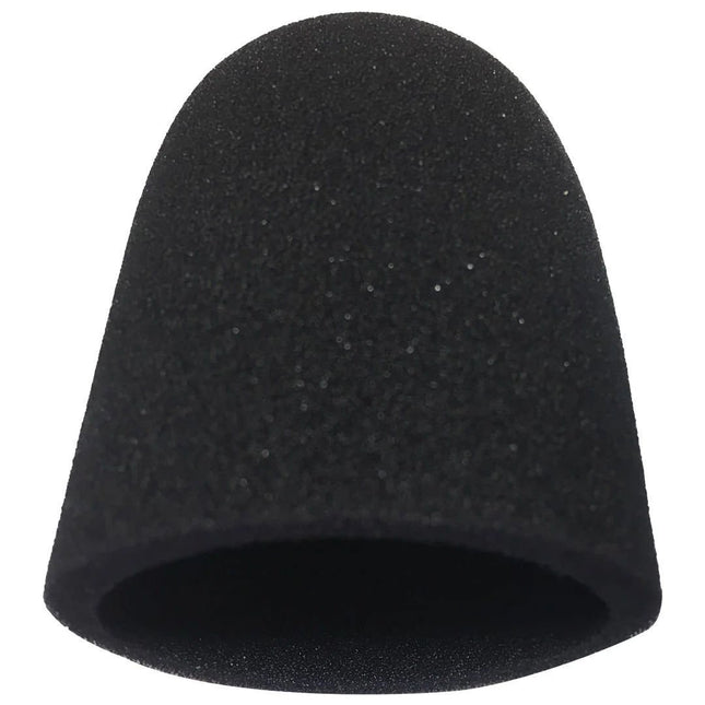 2010 Wind Screen