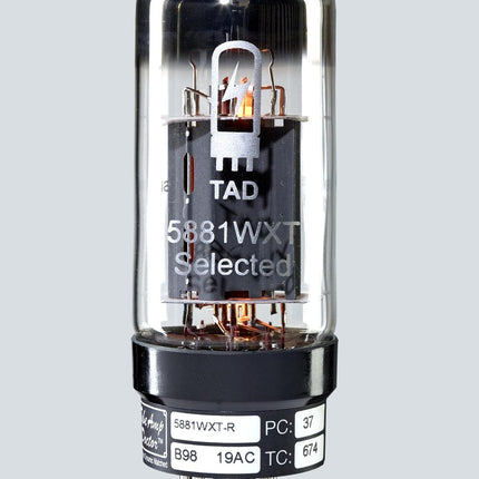 6L6 Amfi Lambası