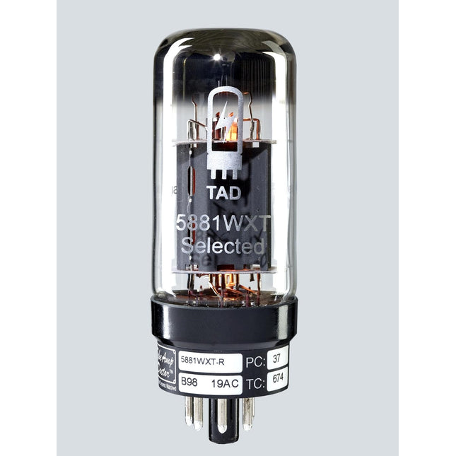 6L6 Amp Lamp
