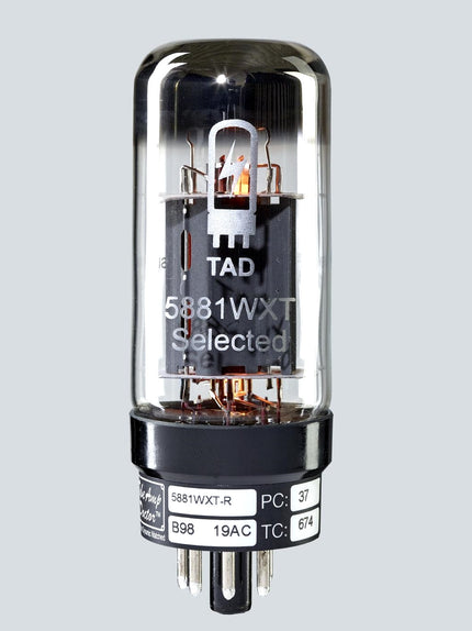 6L6 Amfi Lambası