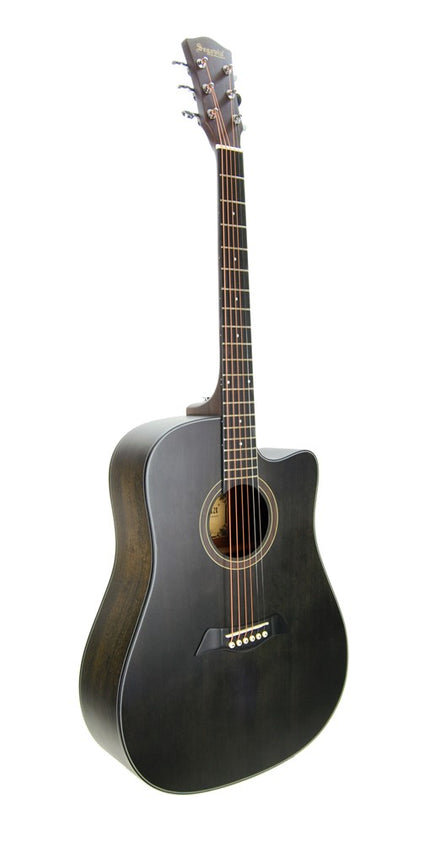 Acoustic Guitar Segovia Ladin SGA486C