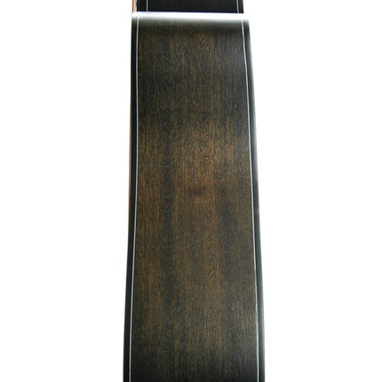 Acoustic Guitar Segovia Ladin SGA486C