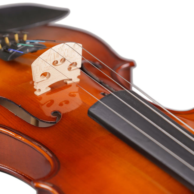 Bremen Bv-144 4/4 Solid Maple Full Size Violin