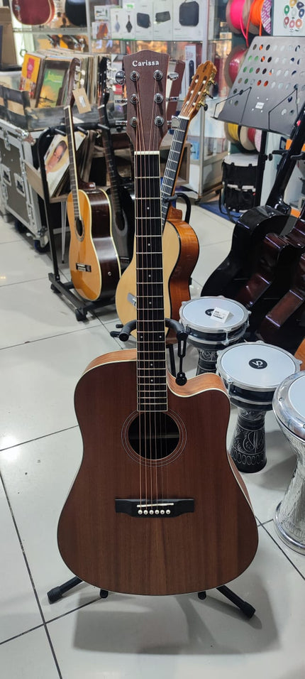 Carissa Acoustic Guitar Cag-201-1Eq