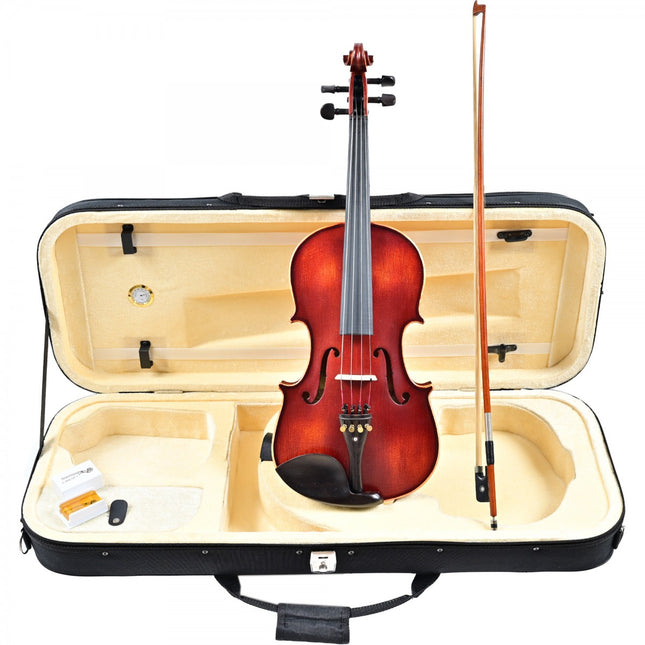 Carlovy VAA8-16 Viola 16" 