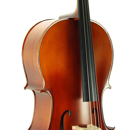 Cello (Violoncello) Stanislava STC44BR