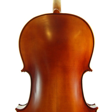 Cello (Violoncello) Stanislava STC44BR