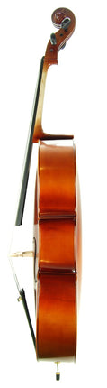Cello (Violoncello) Stanislava STC44BR