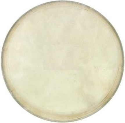 Cox 7 Inch Bongo Skin 
