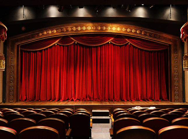 D Sound Ds-337S Tiyatro Koro Kamera Fotoğraf Makinası Mikrofonu