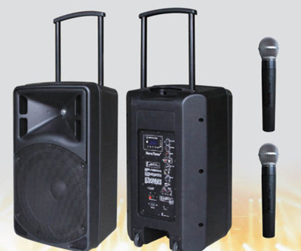 D-Sound Max-12Pa Taşınabilir Şarjlı Hoparlör