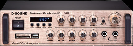 D-Sound Pa-200 Mixer Amplifier