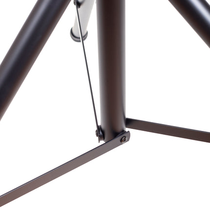 D-Sound Ss-02 Speaker Cabinet Stand