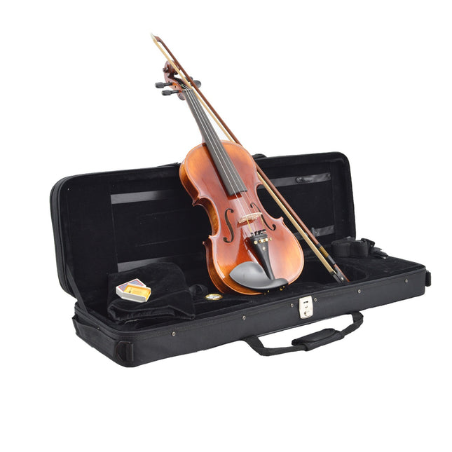 DOMINGUEZ PROFESSIONAL VIOLIN 4/4 (DVPG44-P1)