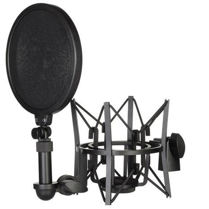 Dynamic Sound Spf-02