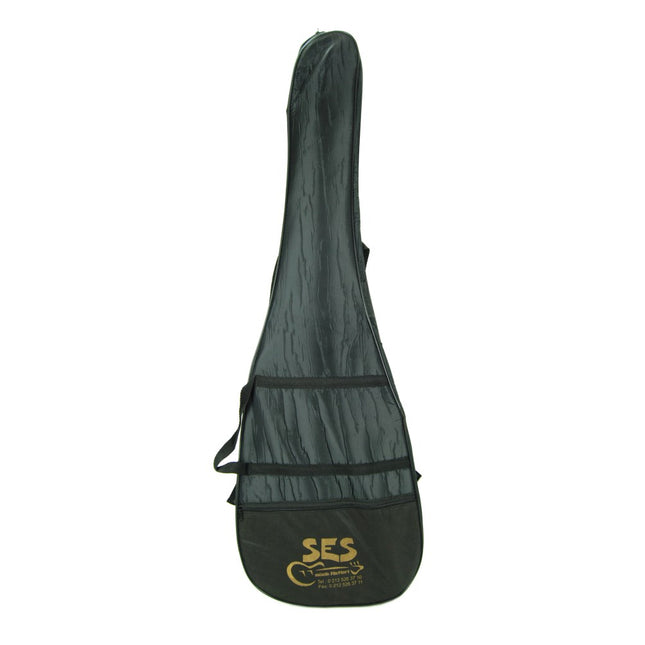 Electric Guitar Case GAKE