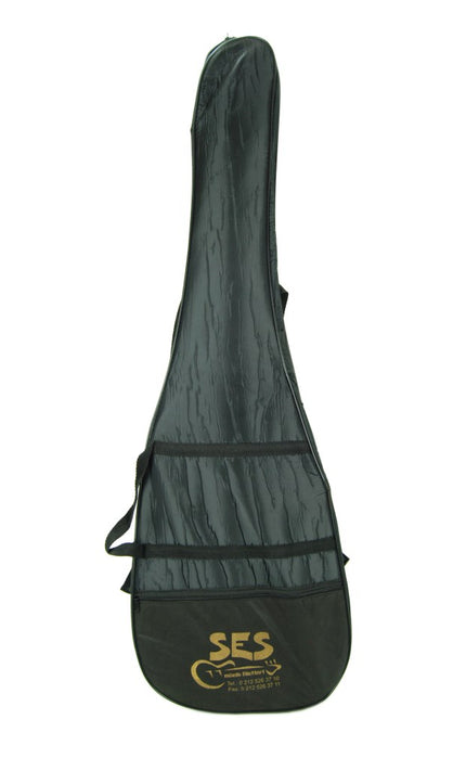 Electric Guitar Case GAKE
