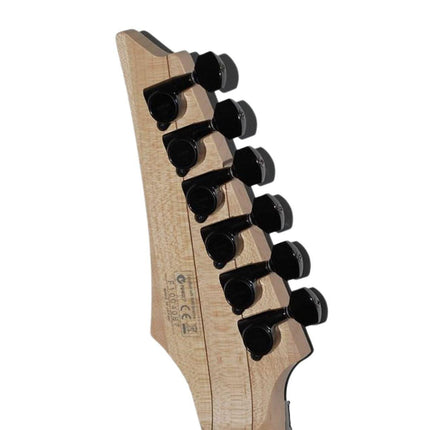 ELEKTRO GİTAR KUTULU :IBANEZ JAPON