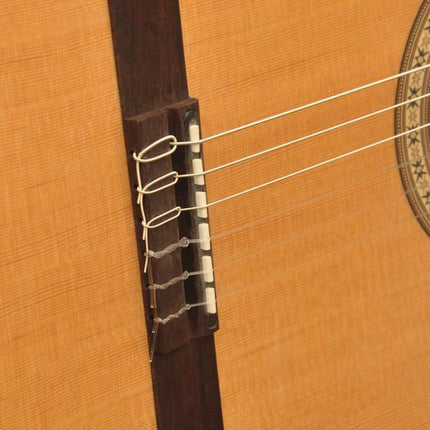 ELEKTRO KLASİK GİTAR FISHMAN CLASSIC III