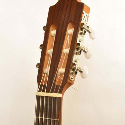 ELEKTRO KLASİK GİTAR FISHMAN CLASSIC III