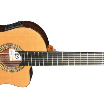 ELEKTRO KLASİK GİTAR FISHMAN PRO BLEND
