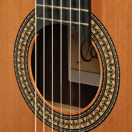 ELEKTRO KLASİK GİTAR FISHMAN PRO BLEND