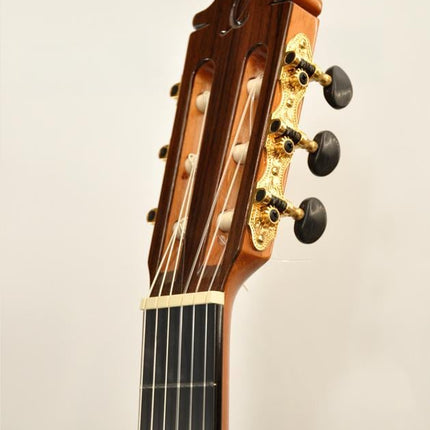 ELEKTRO KLASİK GİTAR FISHMAN PRO BLEND