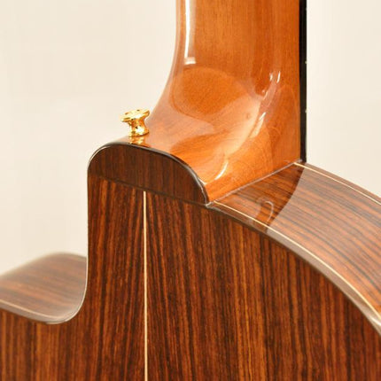 ELEKTRO KLASİK GİTAR FISHMAN PRO BLEND