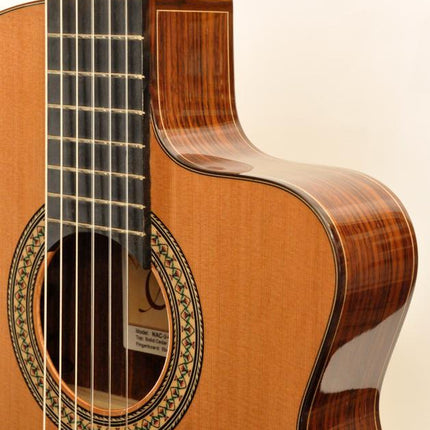 ELEKTRO KLASİK GİTAR FISHMAN PRO BLEND