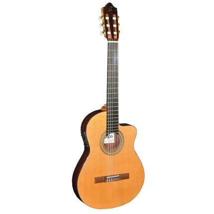 ELEKTRO KLASİK GİTAR FISHMAN PRO BLEND