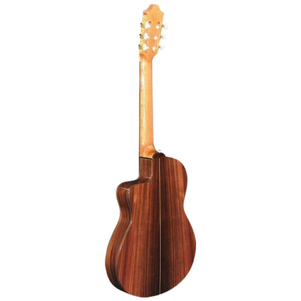 ELEKTRO KLASİK GİTAR FISHMAN PRO BLEND