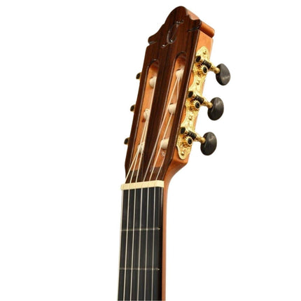 ELEKTRO KLASİK GİTAR FISHMAN PRO BLEND